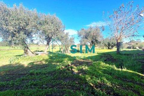 Landejendom i Evora, Evora, Evora - € 650.000 | Ref: CS235 - foto 25
