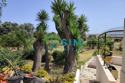 Villa i Olhao, Faro, Olhao - € 2.400.000 | Ref: DN199 - foto 36