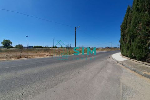 Helårsgrund i Golega, Santarem, Golega - € 165.000 | Ref: CS223 - foto 4