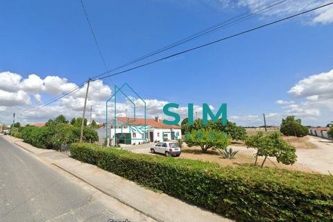 Helårsgrund i Golega, Santarem, Golega - € 165.000 | Ref: CS223 - foto 6