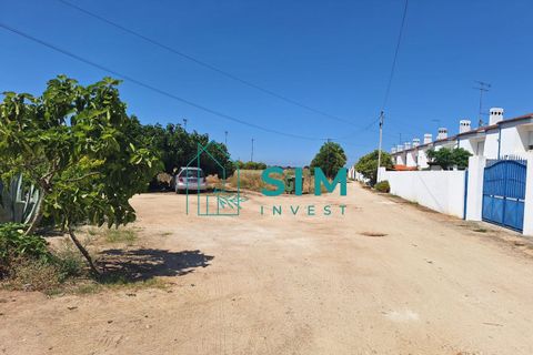 Helårsgrund i Golega, Santarem, Golega - € 165.000 | Ref: CS223 - foto 7