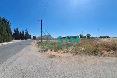 Helårsgrund i Golega, Santarem, Golega - € 165.000 | Ref: CS223 - foto 8