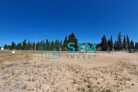 Helårsgrund i Golega, Santarem, Golega - € 165.000 | Ref: CS223 - foto 10