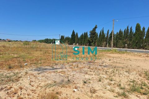 Helårsgrund i Golega, Santarem, Golega - € 165.000 | Ref: CS223 - foto 11