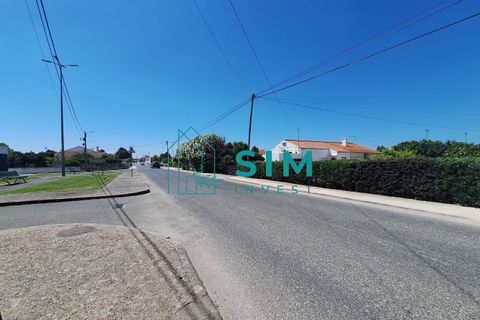 Helårsgrund i Golega, Santarem, Golega - € 165.000 | Ref: CS223 - foto 15