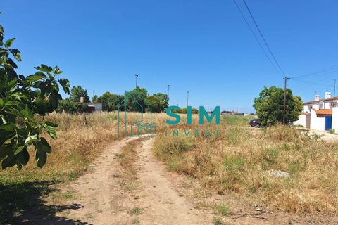 Helårsgrund i Golega, Santarem, Golega - € 165.000 | Ref: CS223 - foto 16