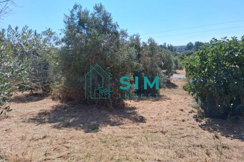 Helårsgrund i Tomar, Santarem, Tomar - € 39.000 | Ref: JR301 - foto 2
