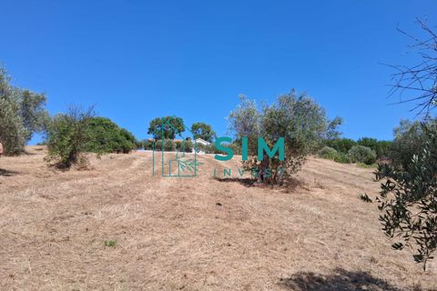 Helårsgrund i Tomar, Santarem, Tomar - € 39.000 | Ref: JR301 - foto 3
