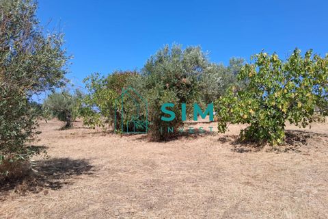 Helårsgrund i Tomar, Santarem, Tomar - € 39.000 | Ref: JR301 - foto 4