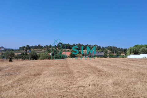 Helårsgrund i Tomar, Santarem, Tomar - € 39.000 | Ref: JR301 - foto 5