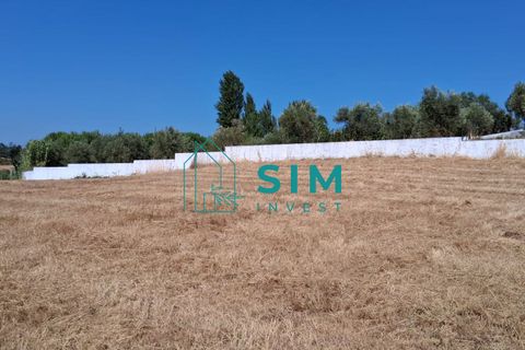 Helårsgrund i Tomar, Santarem, Tomar - € 39.000 | Ref: JR301 - foto 6