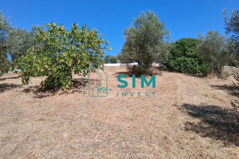 Helårsgrund i Tomar, Santarem, Tomar - € 39.000 | Ref: JR301 - foto 7