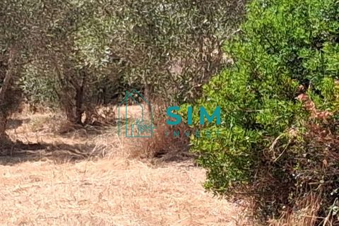 Helårsgrund i Tomar, Santarem, Tomar - € 39.000 | Ref: JR301 - foto 8