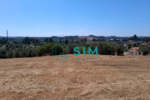 Helårsgrund i Tomar, Santarem, Tomar - € 39.000 | Ref: JR301 - foto 9