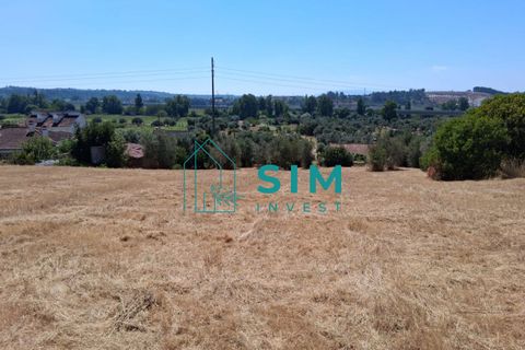 Helårsgrund i Tomar, Santarem, Tomar - € 39.000 | Ref: JR301 - foto 12