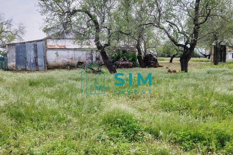 Landejendom i Olhao, Faro, Olhao - € 498.000 | Ref: DN&MR 202 - foto 9