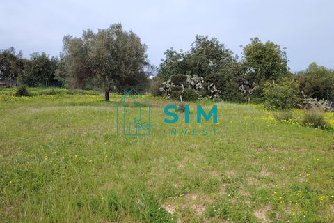 Landejendom i Olhao, Faro, Olhao - € 498.000 | Ref: DN&MR 202 - foto 10