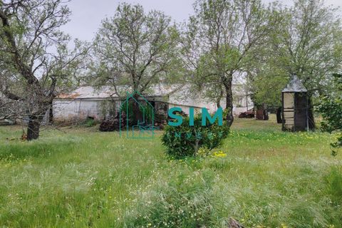 Landejendom i Olhao, Faro, Olhao - € 498.000 | Ref: DN&MR 202 - foto 11