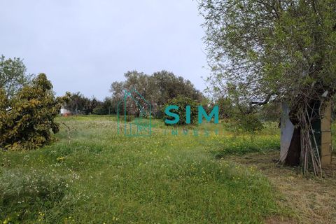 Landejendom i Olhao, Faro, Olhao - € 498.000 | Ref: DN&MR 202 - foto 14