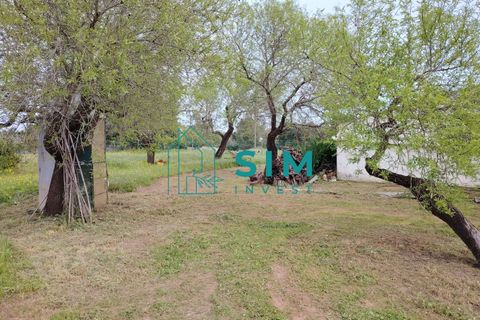 Landejendom i Olhao, Faro, Olhao - € 498.000 | Ref: DN&MR 202 - foto 15