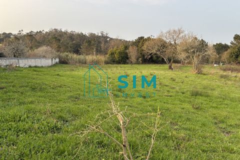 Helårsgrund i Alcobaca, Leiria, Alcobaca - € 84.000 | Ref: AC302 - foto 5