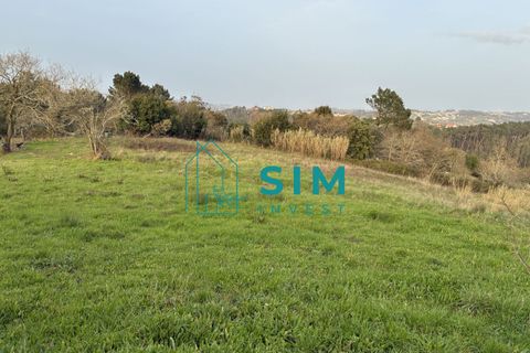 Helårsgrund i Alcobaca, Leiria, Alcobaca - € 84.000 | Ref: AC302 - foto 7
