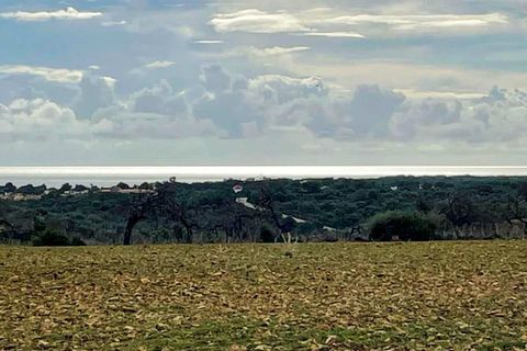 Landejendom i Manacor, Mallorca, Manacor - € 690.000 | Ref: 2614147 - LF0557 - foto 10