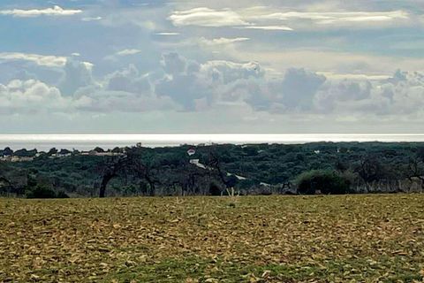 Landejendom i Manacor, Mallorca, Manacor - € 690.000 | Ref: 2614147 - LF0557 - foto 34