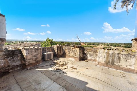 Villa a Campos, Mallorca, Campos - € 1.300.000 | Ref: 3841976 - LF0821 - foto 11