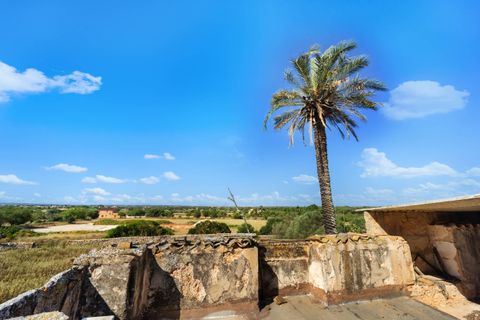 Villa a Campos, Mallorca, Campos - € 1.300.000 | Ref: 3841976 - LF0821 - foto 12