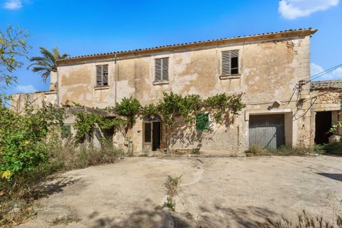 Villa a Campos, Mallorca, Campos - € 1.300.000 | Ref: 3841976 - LF0821 - foto 17