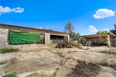 Villa a Campos, Mallorca, Campos - € 1.300.000 | Ref: 3841976 - LF0821 - foto 20