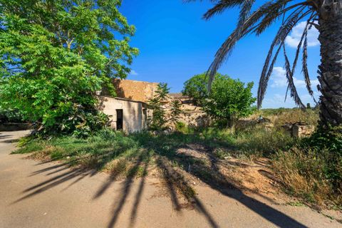 Villa a Campos, Mallorca, Campos - € 1.300.000 | Ref: 3841976 - LF0821 - foto 24