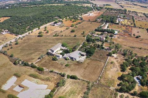 Villa a Campos, Mallorca, Campos - € 1.300.000 | Ref: 3841976 - LF0821 - foto 27