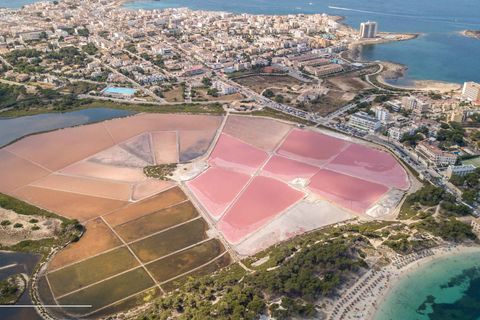 Byhus i Ses Salines, Mallorca, Ses Salines - € 3.100.000 | Ref: 3059994 - LF0793 - foto 27