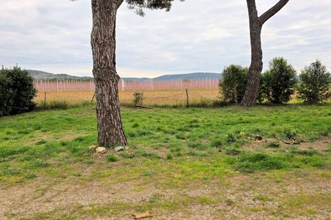 Landejendom i Roccastrada, Grosseto, Roccastrada - € 270.000 | Ref: 1613 - foto 4