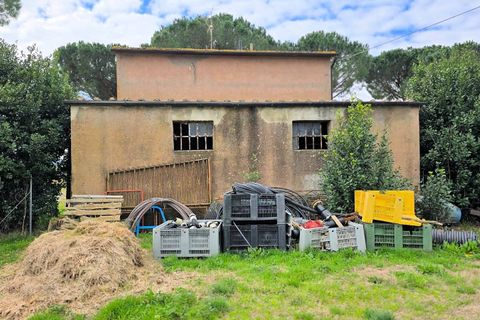 Landejendom i Roccastrada, Grosseto, Roccastrada - € 270.000 | Ref: 1613 - foto 5