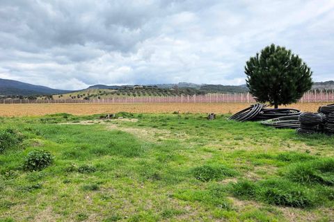 Landejendom i Roccastrada, Grosseto, Roccastrada - € 270.000 | Ref: 1613 - foto 10