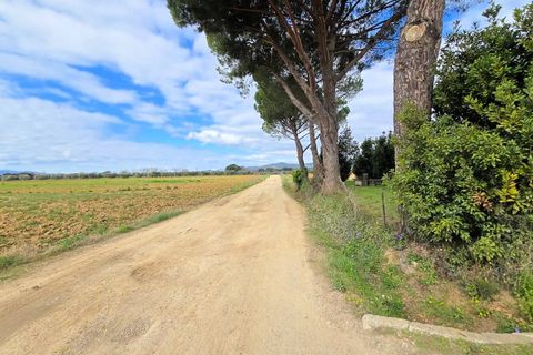 Landejendom i Roccastrada, Grosseto, Roccastrada - € 270.000 | Ref: 1613 - foto 12