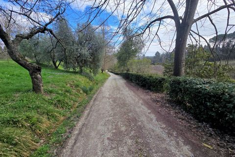 Landejendom i Fucecchio, Florence, Fucecchio - € 550.000 | Ref: 1690 - foto 13