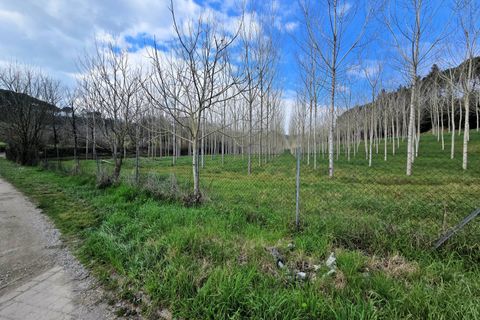 Landejendom i Fucecchio, Florence, Fucecchio - € 550.000 | Ref: 1690 - foto 18