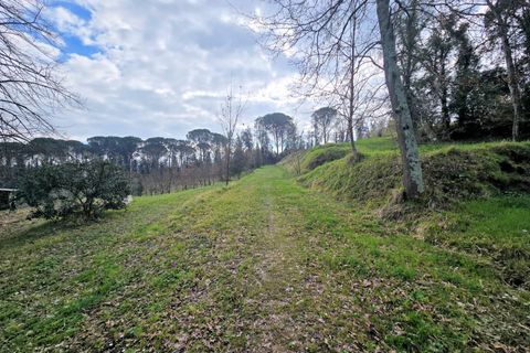 Landejendom i Fucecchio, Florence, Fucecchio - € 550.000 | Ref: 1690 - foto 20
