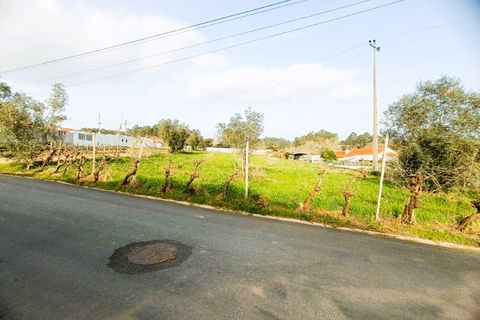 Helårsgrund i Agueda, Aveiro, Agueda - € 38.000 | Ref: 26003 - foto 3
