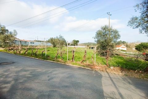 Helårsgrund i Agueda, Aveiro, Agueda - € 38.000 | Ref: 26003 - foto 4