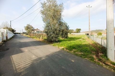 Helårsgrund i Agueda, Aveiro, Agueda - € 38.000 | Ref: 26003 - foto 5