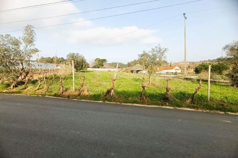 Helårsgrund i Agueda, Aveiro, Agueda - € 38.000 | Ref: 26003 - foto 2