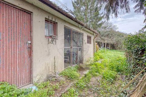 Villa a Maia, Porto, Maia - € 360.000 | Ref: 120781426-66 - foto 41