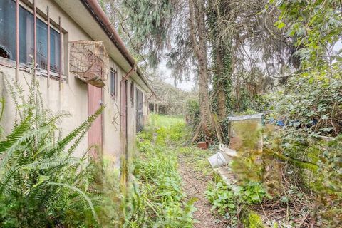 Villa a Maia, Porto, Maia - € 360.000 | Ref: 120781426-66 - foto 42