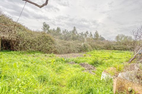 Villa a Maia, Porto, Maia - € 360.000 | Ref: 120781426-66 - foto 19