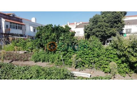 Helårsgrund i Setubal, Setubal, Setubal - € 1.550.000 | Ref: TER_6470 - foto 4